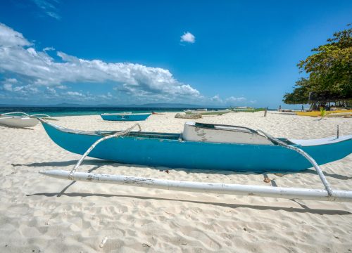 Bohol Balicasag Island Hopping Tour