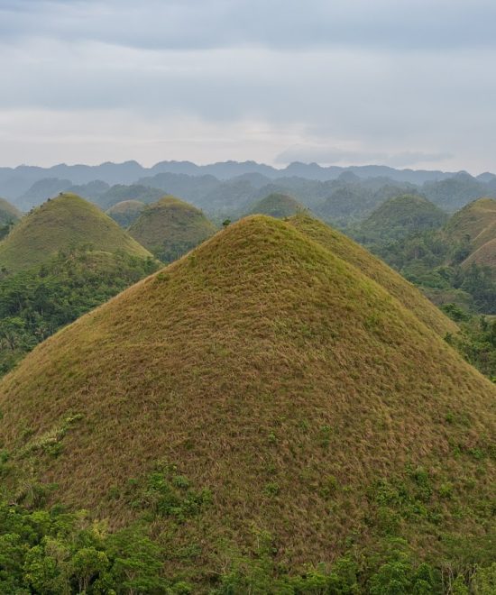 Bohol