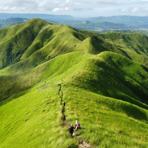 Bohol Ultimate Tour (Candijay + Anda)