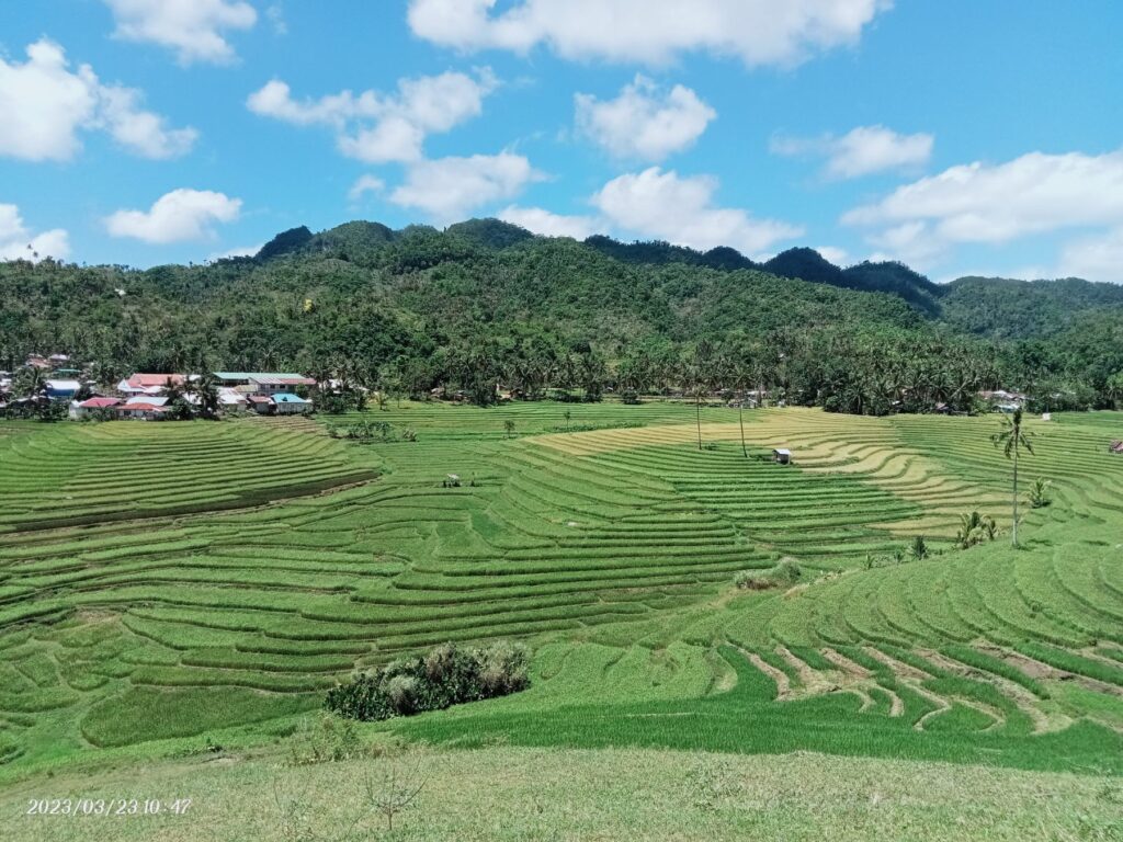 Bohol Ultimate Tour Candijay Anda Ecotravelers Travel And Tours