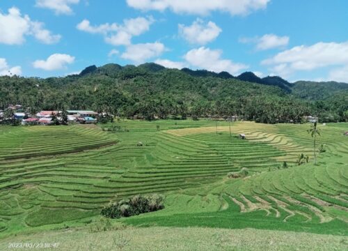 Bohol Ultimate Tour (Candijay + Anda)