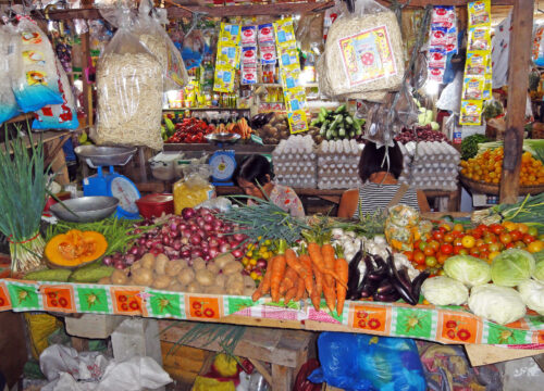 Negros Island - Balanan Lake and Malatapay Market Tour