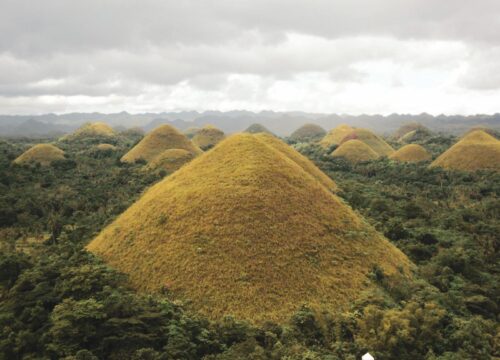 Bohol Nature Tour