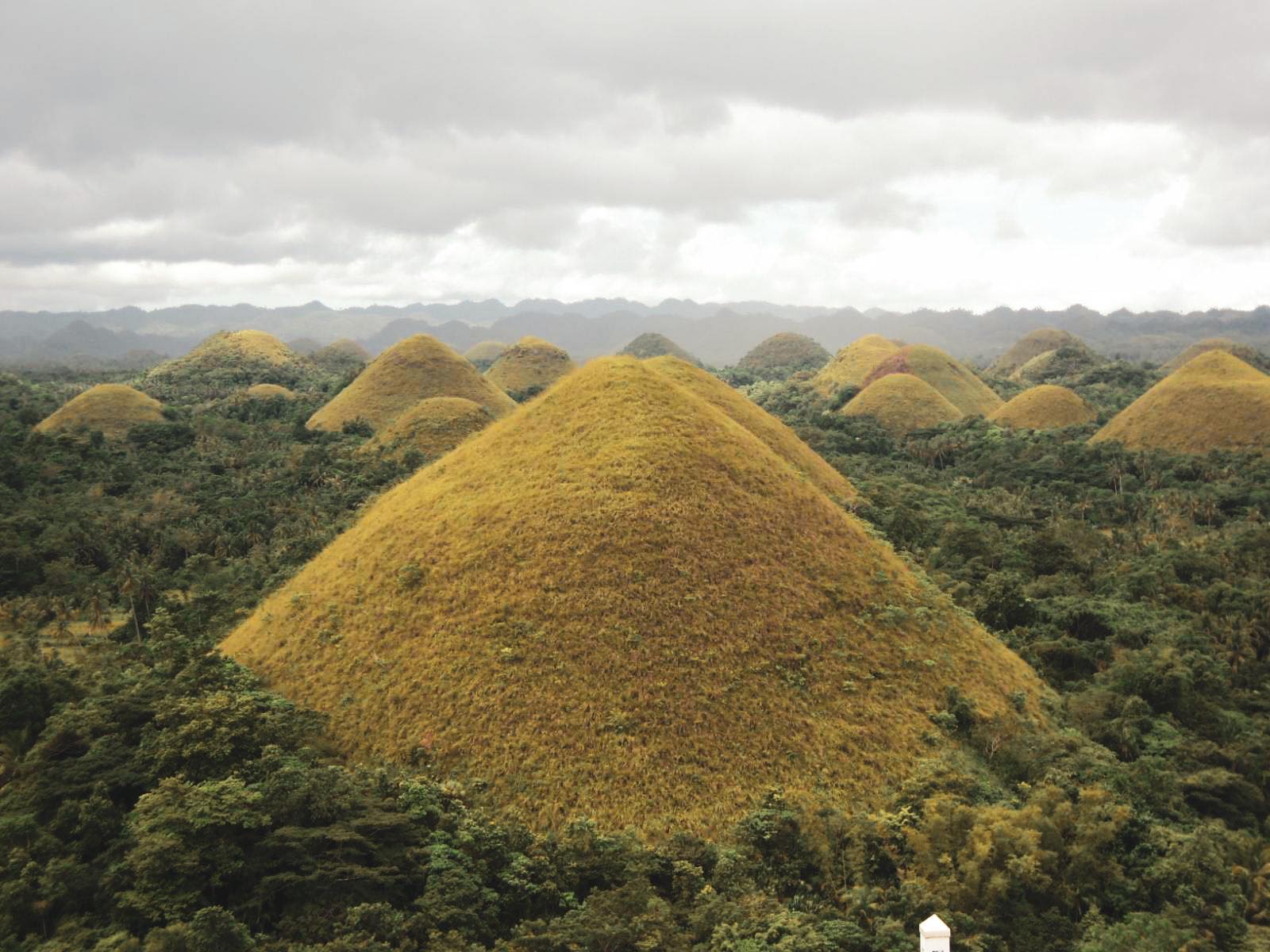 Bohol Nature Tour