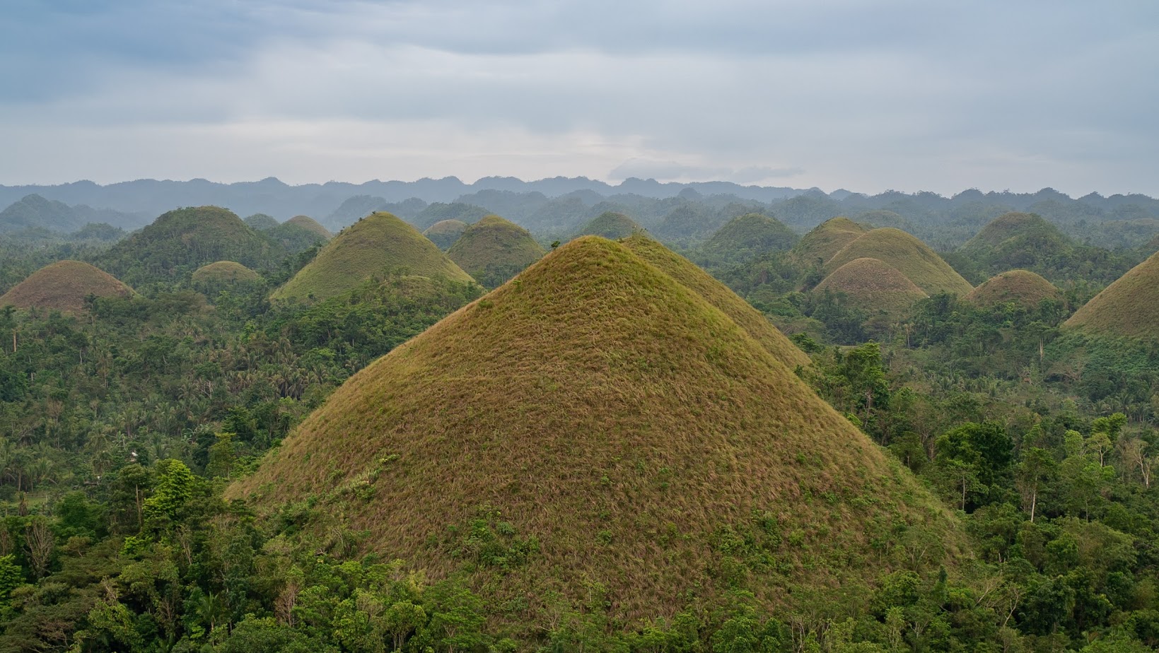 Bohol